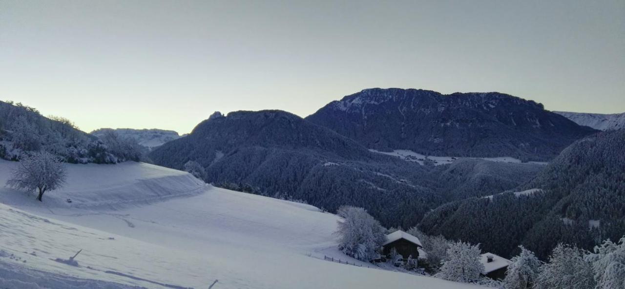 Alpine Chalet Aurora Dolomites لايون المظهر الخارجي الصورة